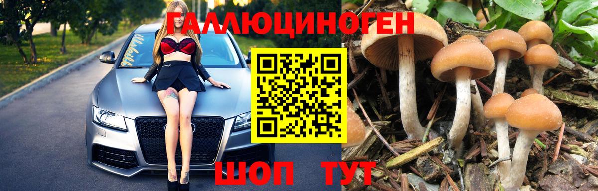 Ковров  Псилоцибиновые грибы Magic Shrooms  купить  сайты  Вход с VPN 